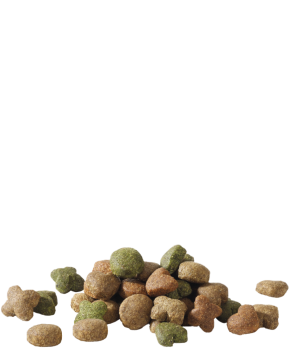 Happy life Adult with Lamb корм для взрослых средних и крупных пород с ягненком